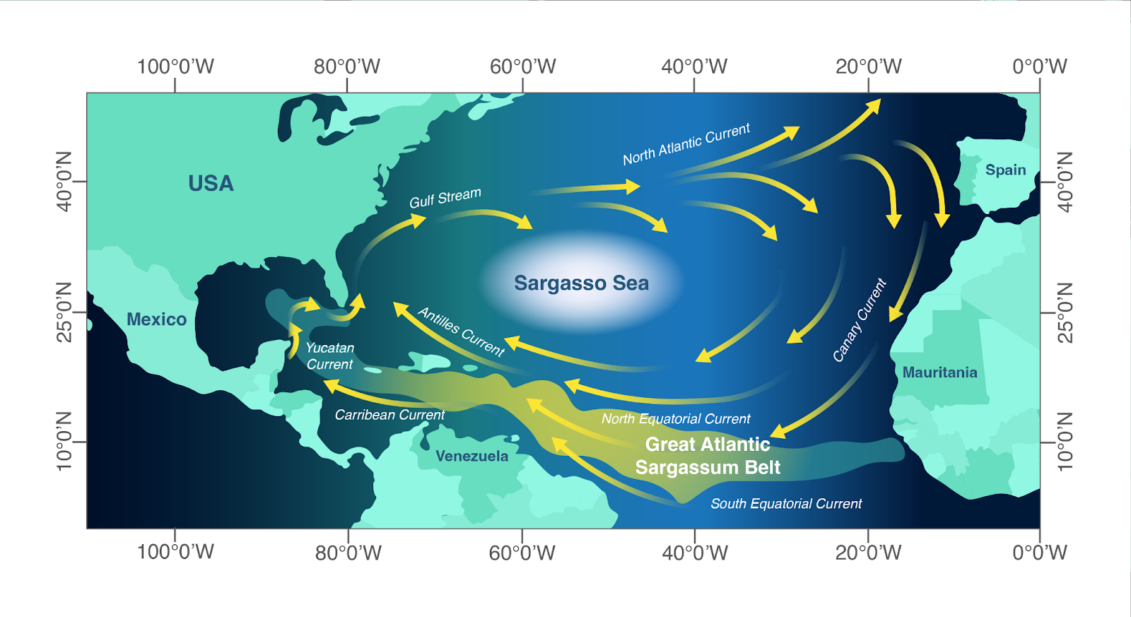 Sargasso Sea