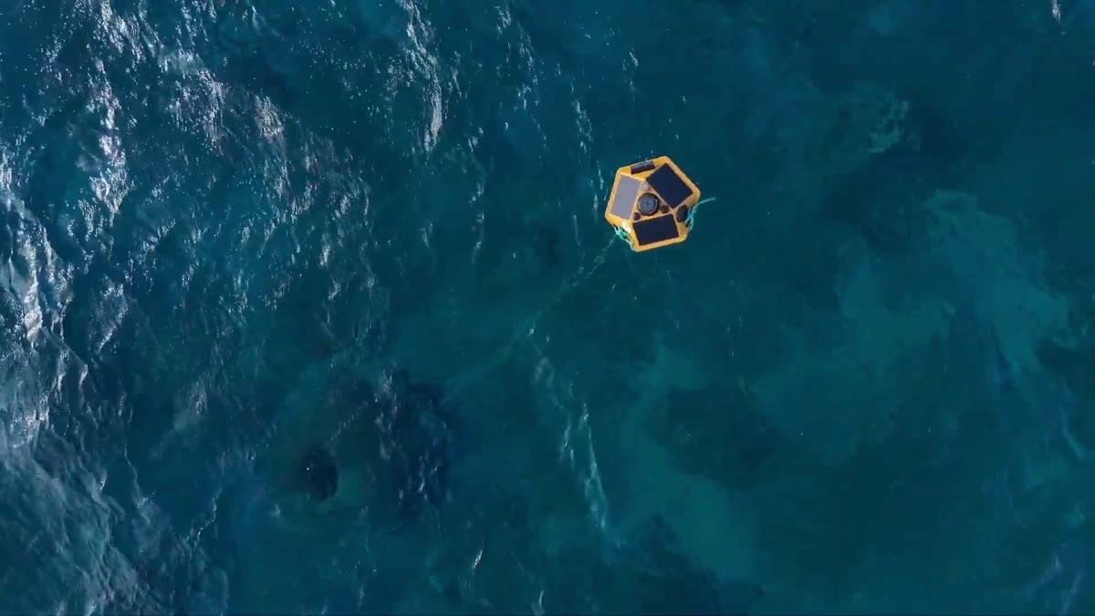 Aerial view of a monitoring buoy off Cozumel, Mexico
