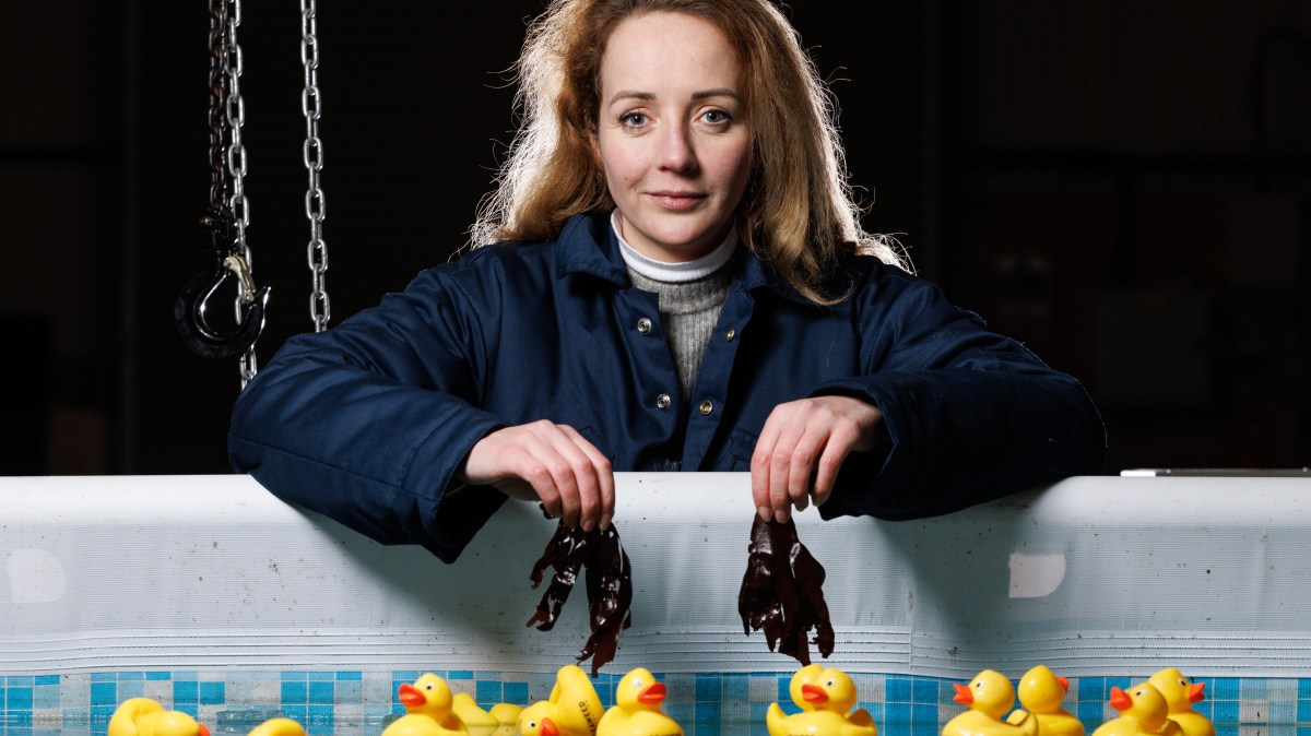 Paddy at our test pool with rubber ducks and some dulse